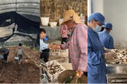 解梦大全奇富科技百万帮扶云南中屏镇：菌菇田里的振兴密码与“村BA”的双向奔赴