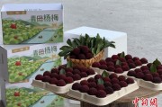 解梦大全高速赋能产业升级：一条“杨梅路”的致富密码