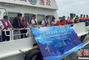 解梦大全浙江今年计划放流种类海洋水生生物苗种超15亿单位