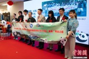 解梦大全中国彩绘熊猫艺术国际巡展东京站开幕