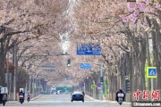 解梦大全共建“花园城市” 北京这场议政会“百花齐放”
