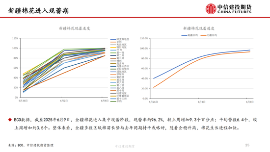 【(🤼)棉花纺谈】供应端阶段性缩量(⛵) 疆棉基差坚挺